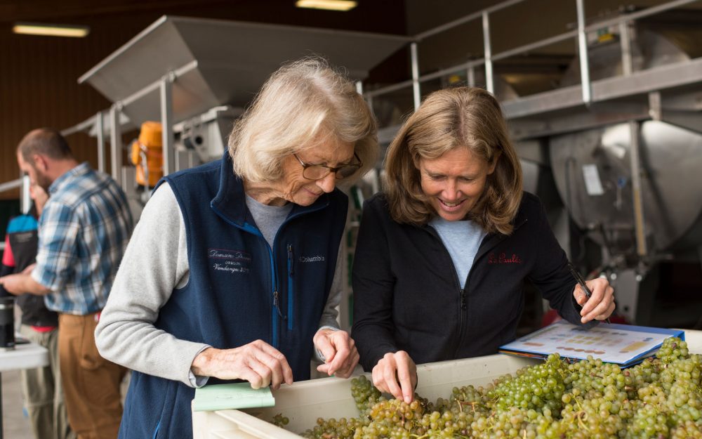 Ladies tasting white grapes from bin