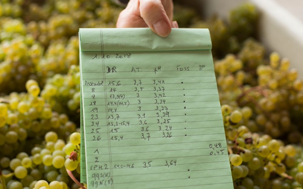 2018 vintage data on a green legal pad over bin of white grapes