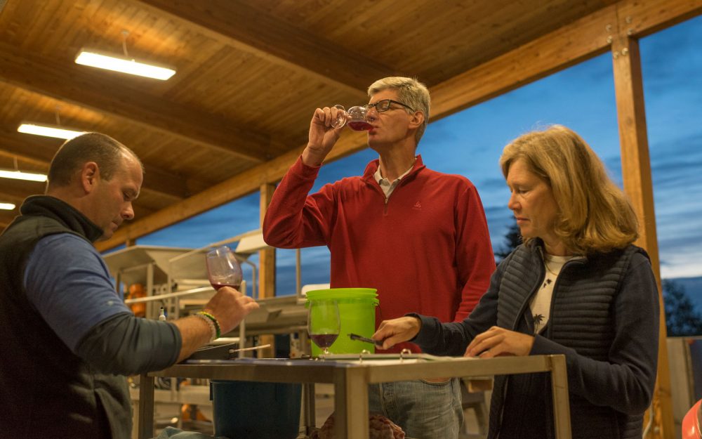 Tasting juice off the press in the evening
